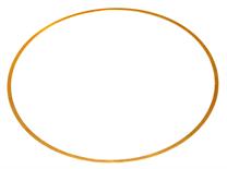 MDM-171787  LAINA DE CAMISA MOTOR CUMMINS 210 0.010